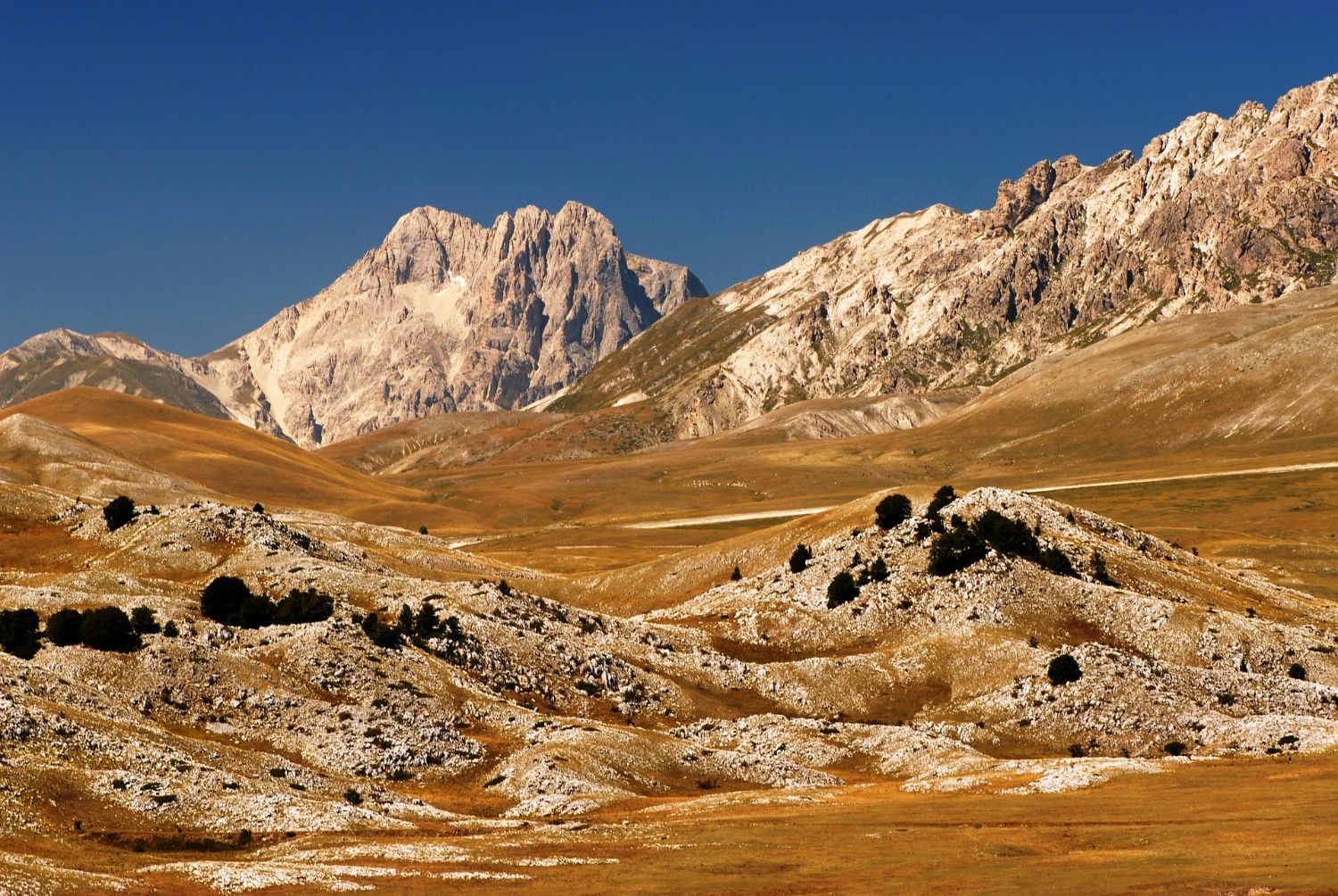 Le Corno Grande dominant le plateau de Campo Imperatore sous un ciel bleu, avec au premier plan les bosses calcaires parsemées de buissons.