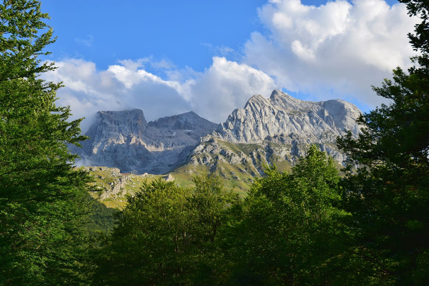 Le massif du Gran Sasso, aperçu à travers les arbres depuis les hauteurs boisées environnantes.