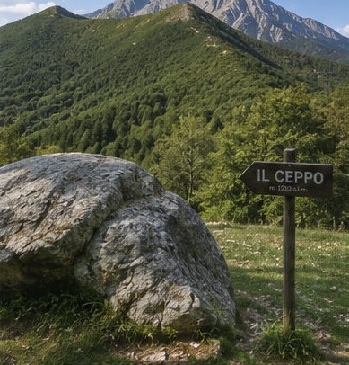 Illustration du panneau "Il Ceppo" au départ du sentier, face aux crêtes boisées de Bosco Martese.