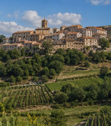 Illustration du village de Perano entouré de vignes en terrasses, dans le Chietino.